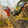 thumbnail image 3 of Avian-X HDR Jake Turkey Decoy - Realistic and Durable Hunting Decoy with Removable Heads, 3 of 5