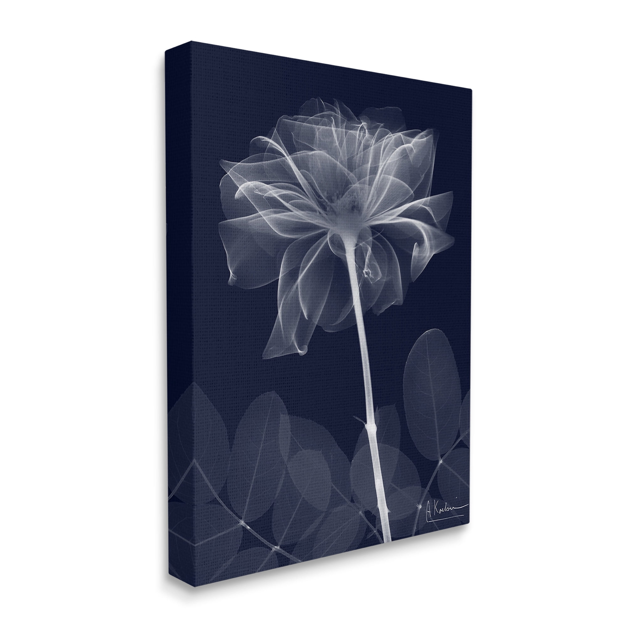 Stupell Industries Dark Flower Shape Botanical & Floral Photography Gallery Wrapped Canvas Art Print Wall Art, 30 x 40