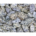 thumbnail image 5 of 1/4 lb Bulk Lot Dalmatian Jasper Tumbled Stone (Dalmation Jasper Tumble), 5 of 8