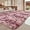 Pink Purple, variant on ANHXN  Area Rugs for Bedroom, Living Room Fluffy Rugs, Large Area Rug Shag Shaggy Carpet Soft Plush Furry Bedside Rug, Machine Washable Area Rugs