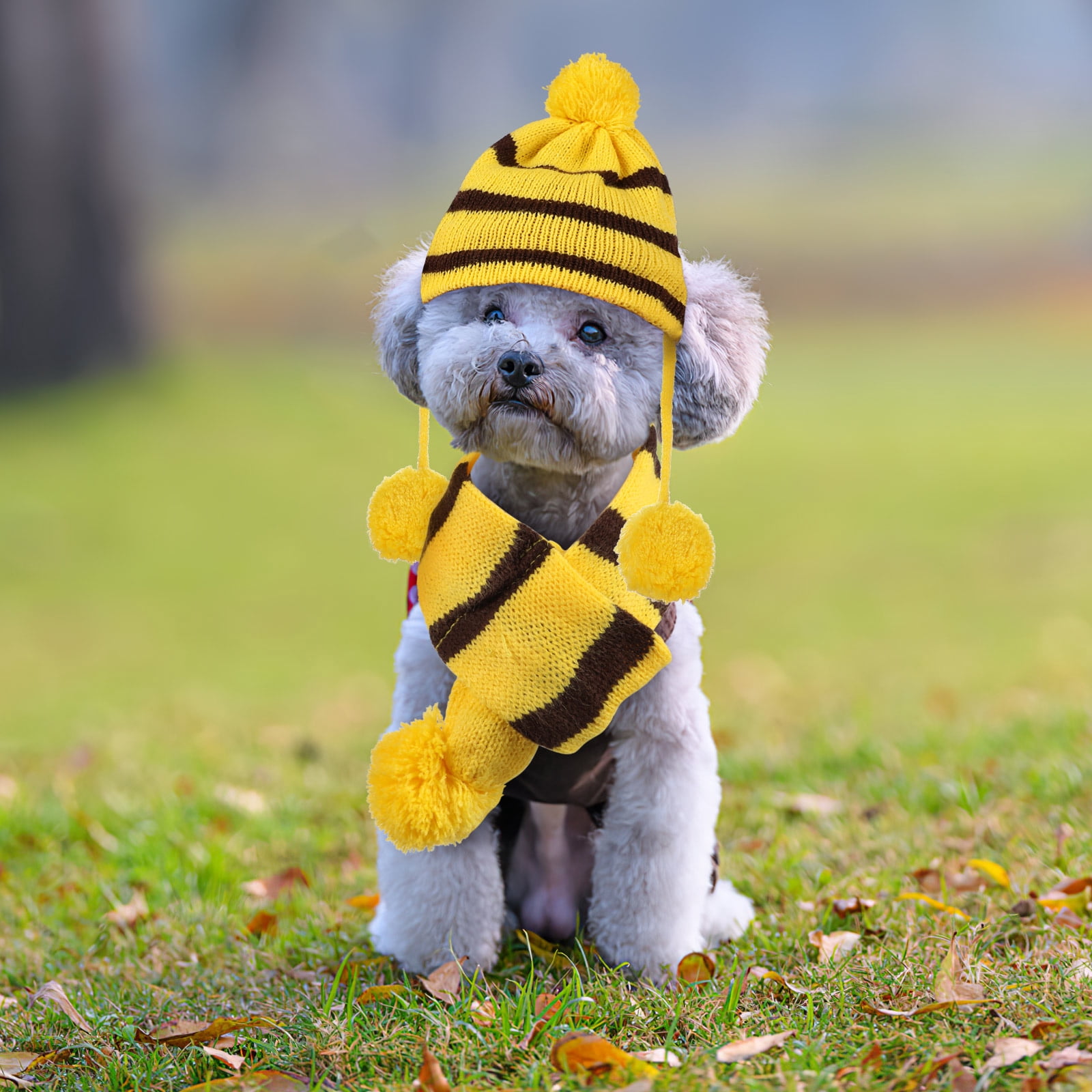 LABSERRON Winter Accessories Dog Beanie Hats Knit Hat for Dog 1Set