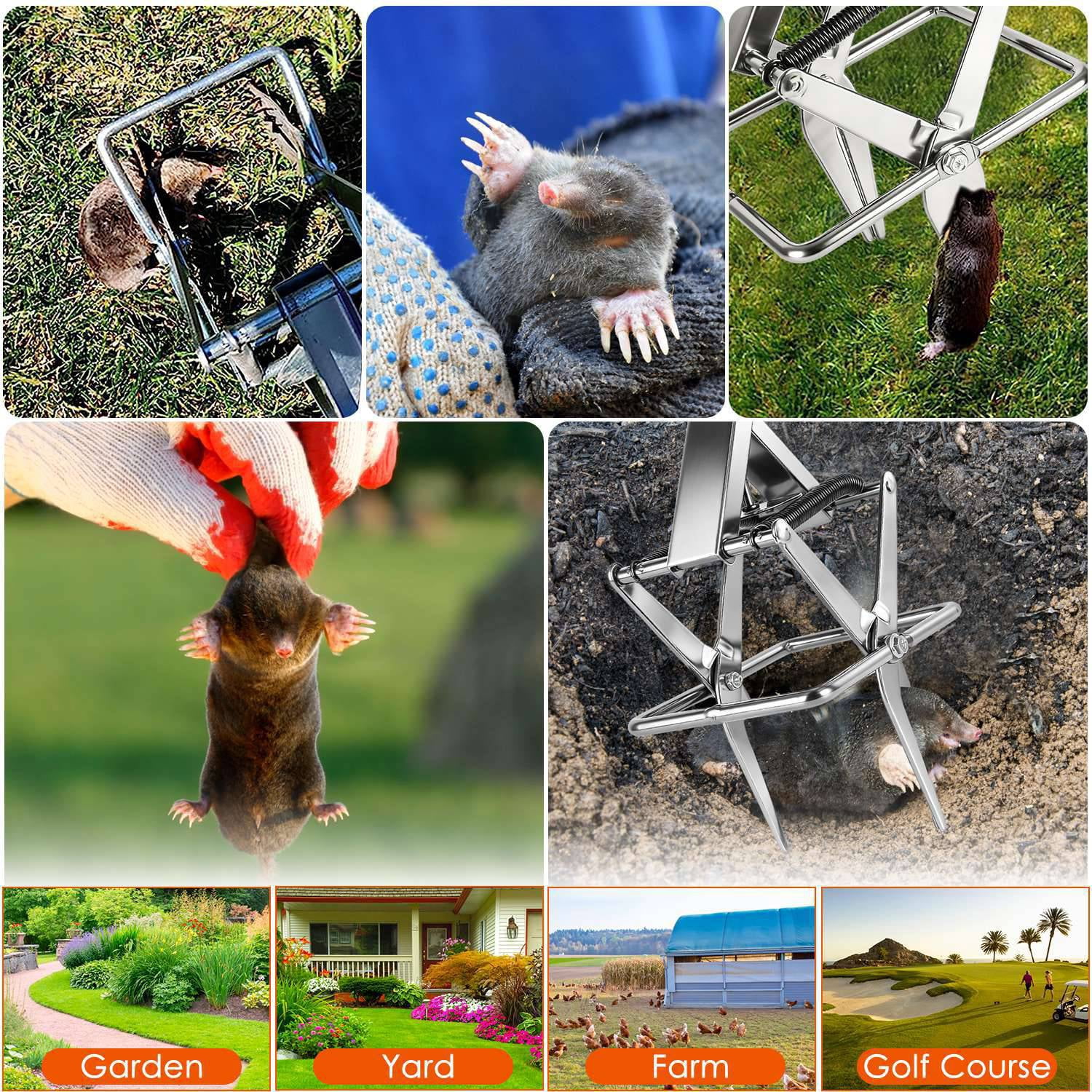 2 Pack Mole Traps Thickened Metal Mole Scissor Trap Reusable Mole Trap Mole Control Easy Set Ground Mole Trap for Lawns (Silver)