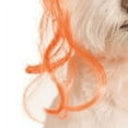 thumbnail image 4 of Rubies Pet Shop Boutique Pet Halloween Costume Accessory Candy Corn Witch Hat For Dog or Cat, 4 of 7