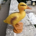 thumbnail image 4 of Cute Mandarin Duck Pool Decoration Animals Sculpture Statues Realistic, 4 of 8
