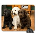 thumbnail image 1 of EREHome Labs Mouse pads Gaming Mouse Pad 9.84x7.87 inches, 1 of 1