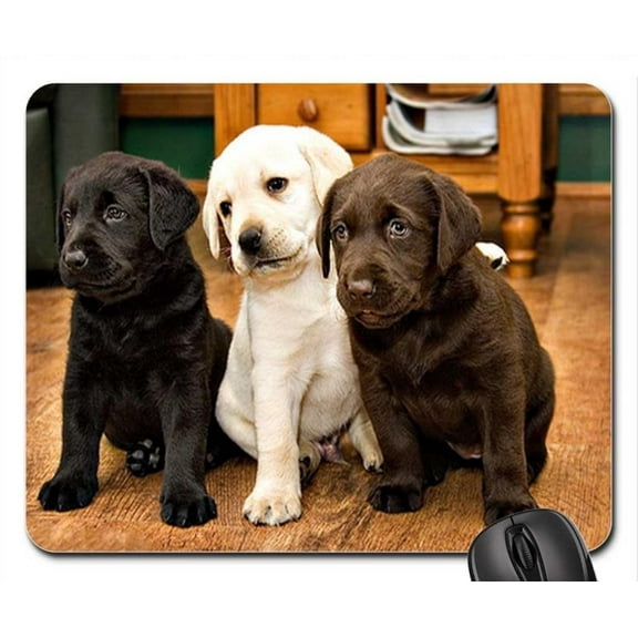 Labs Mouse pads Gaming Mouse Pad 9.84x7.87 inches