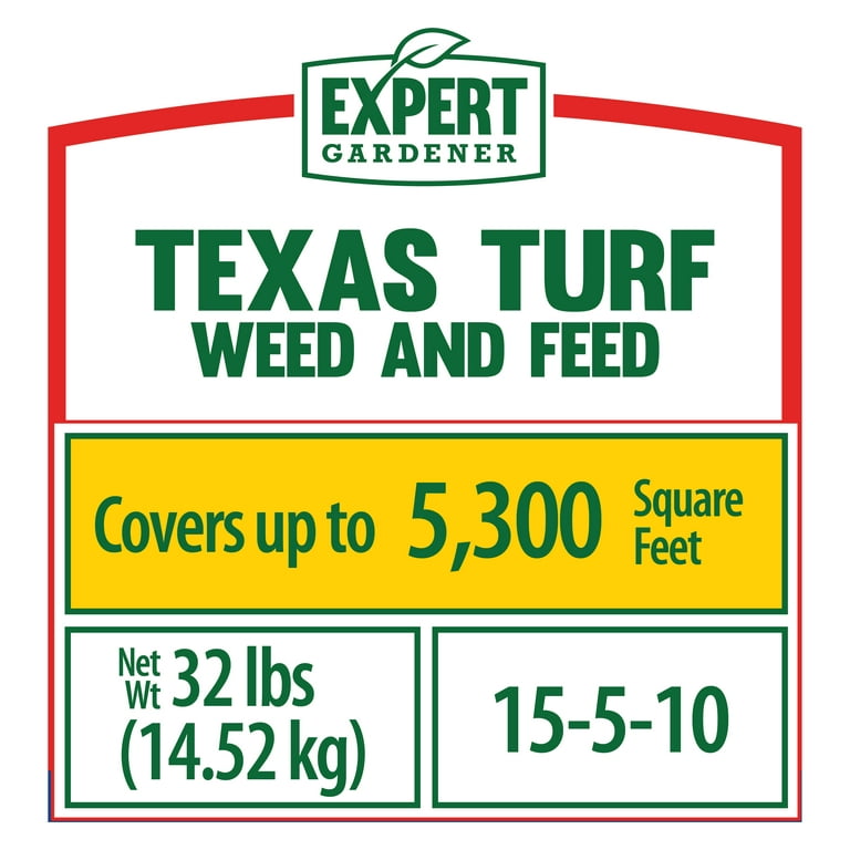 Expert Du Turf: Master Betting Strategies for Winning