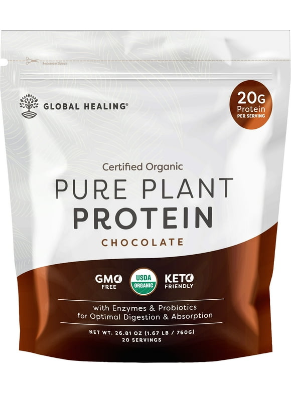 Plant Based Protein Powder in Protein Powder