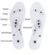 thumbnail image 5 of Semelles Magnétiques Massage, 1 Paire Semelles Magnetique, Semelles de Massage Confortable Pour Hommes Femmes Semelle Magnetique, Anti-fasciite (35-40) BRILLAR Rojo Verde, 5 of 5