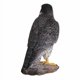 thumbnail image 3 of Figura Hi-Line Gift Ltd. Halcón peregrino (poliresina, 25 x 12 x 26 cm), 3 of 5