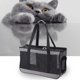 thumbnail image 5 of Bolsa de Viaje para Gatos Ventilada Premium para Perros Pequeños Fabricada en Resistente al Agua Gris Yuyangstore Portador de viaje para mascotas, 5 of 7