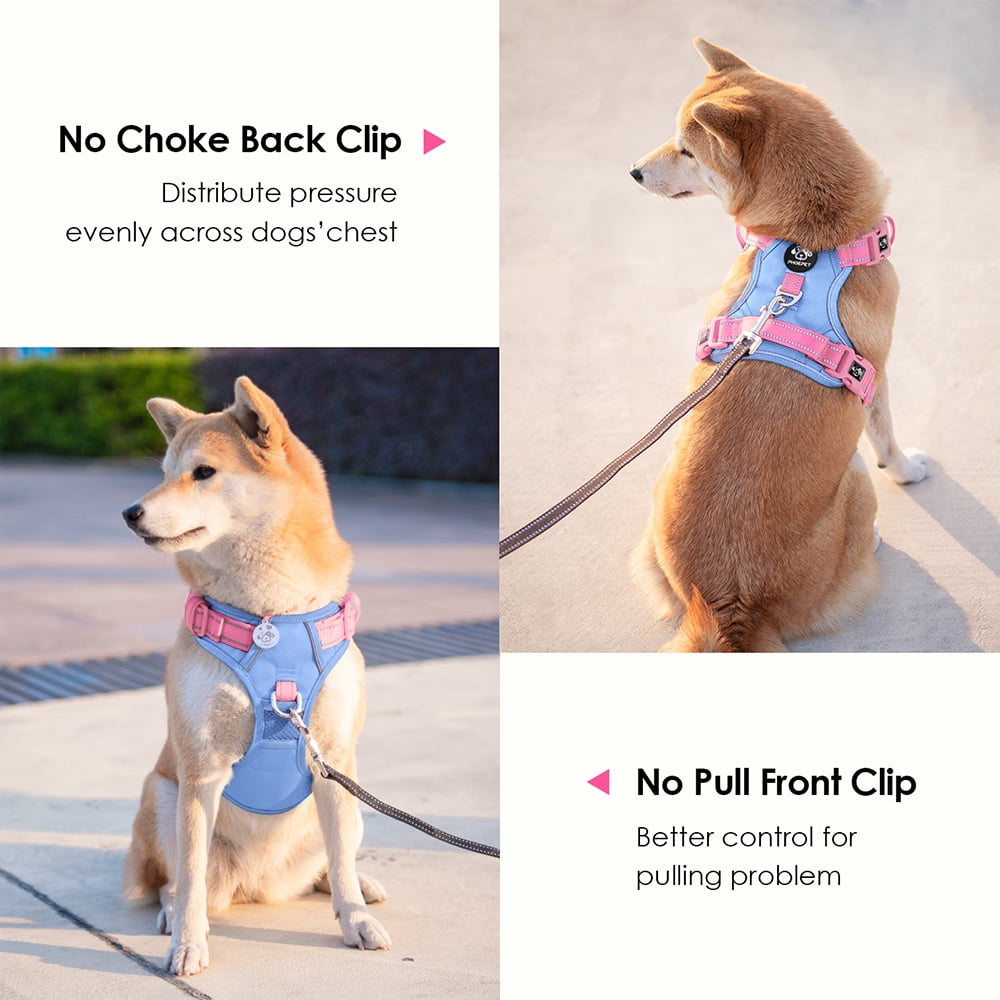 PHOEPET No Pull Dog Harness, Unique Colors Reflective Adjustable Dog Vest, with Soft Training Handle Metal Clips for Small Medium Large Dogs (Baby Blue Base & Pink Straps)