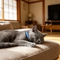 thumbnail image 5 of Calming Cat Collar For Anxiety And Stress Reduction In Felines With Adjustable Secure Fit - Pet Collars For Cats With Design And Safe Release, 5 of 6