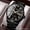 Black gold, black belt, variant on Men's Dual Calendar Watch, Business Quartz Watch, Casual Wristwatch, Luminous Waterproof Watch, Metal Strap Men's Wristwatch, Fashionable