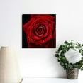 thumbnail image 4 of Chilfamy Red Rose Romantic Macro Photography Canvas Print Art 16x16in, 4 of 6