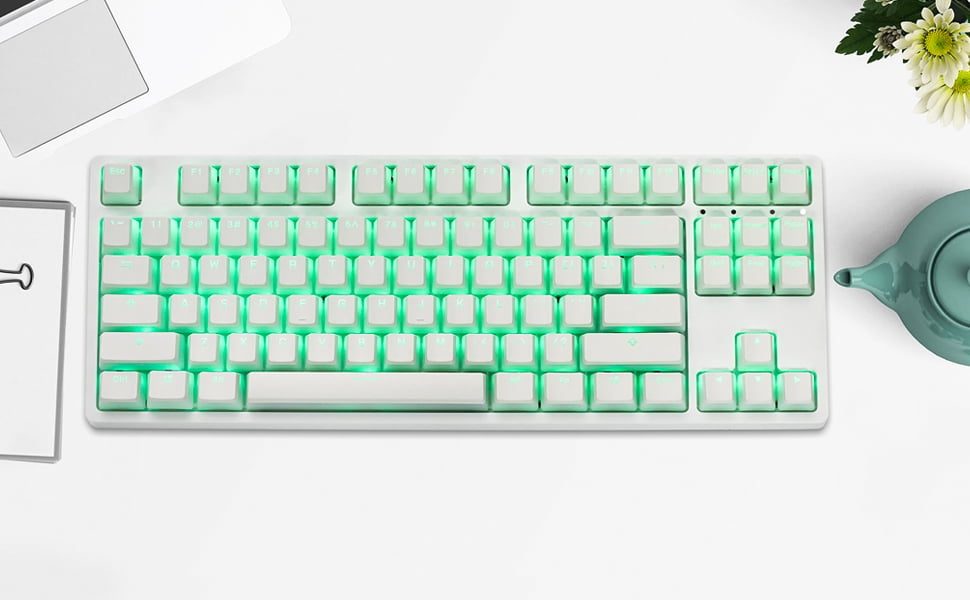 PBT Keycaps Pudding Keycaps OEM Profile Doubleshot Backlit Translucent Keyset for US UK Layout 61 68 84 87 104 108 MX Switches Mechanical Keyboard,White