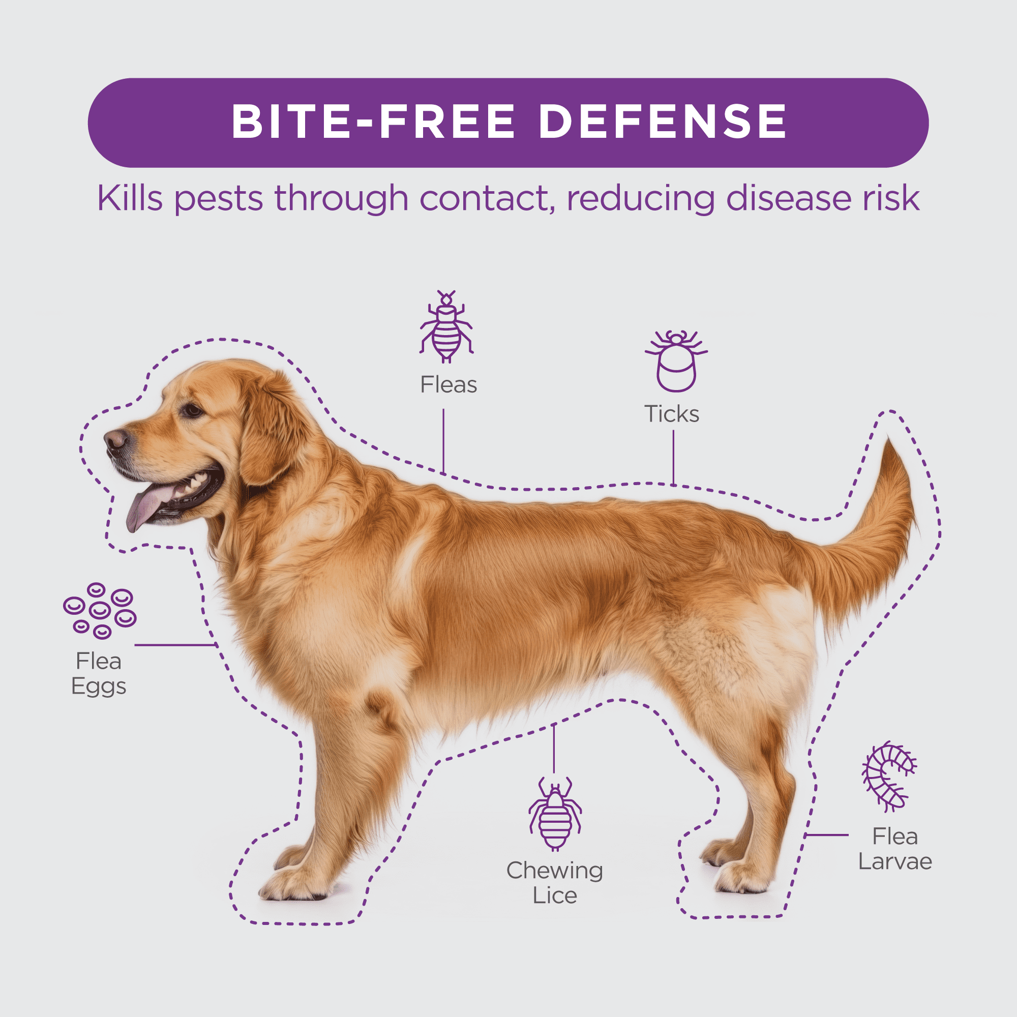 TevraPet FirstAct Plus Flea and Tick Prevention for Large Dogs 45-88 lbs, 6 Monthly Doses, Topical Drops