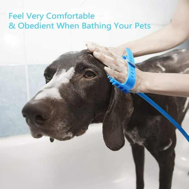 Pet shower best sale hose