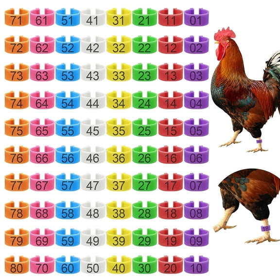 bathprove 80Pcs 16mm Chicken Leg Bands with 8 Colors,Colorful 01-80 Numbered Chicken Identificat y19999