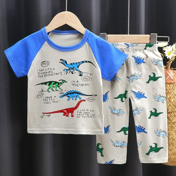 LIBRCLO Boys Clothes Size 3 Years Casual Dinosaur Graphic T Shirts and Pants Outfit Sets Loungewear Summer Toddler Clothes