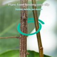 thumbnail image 4 of 100Pcs Reusable Plastic Secure Plant Support Clips for Outdoor Climbing Plants, 4 of 5
