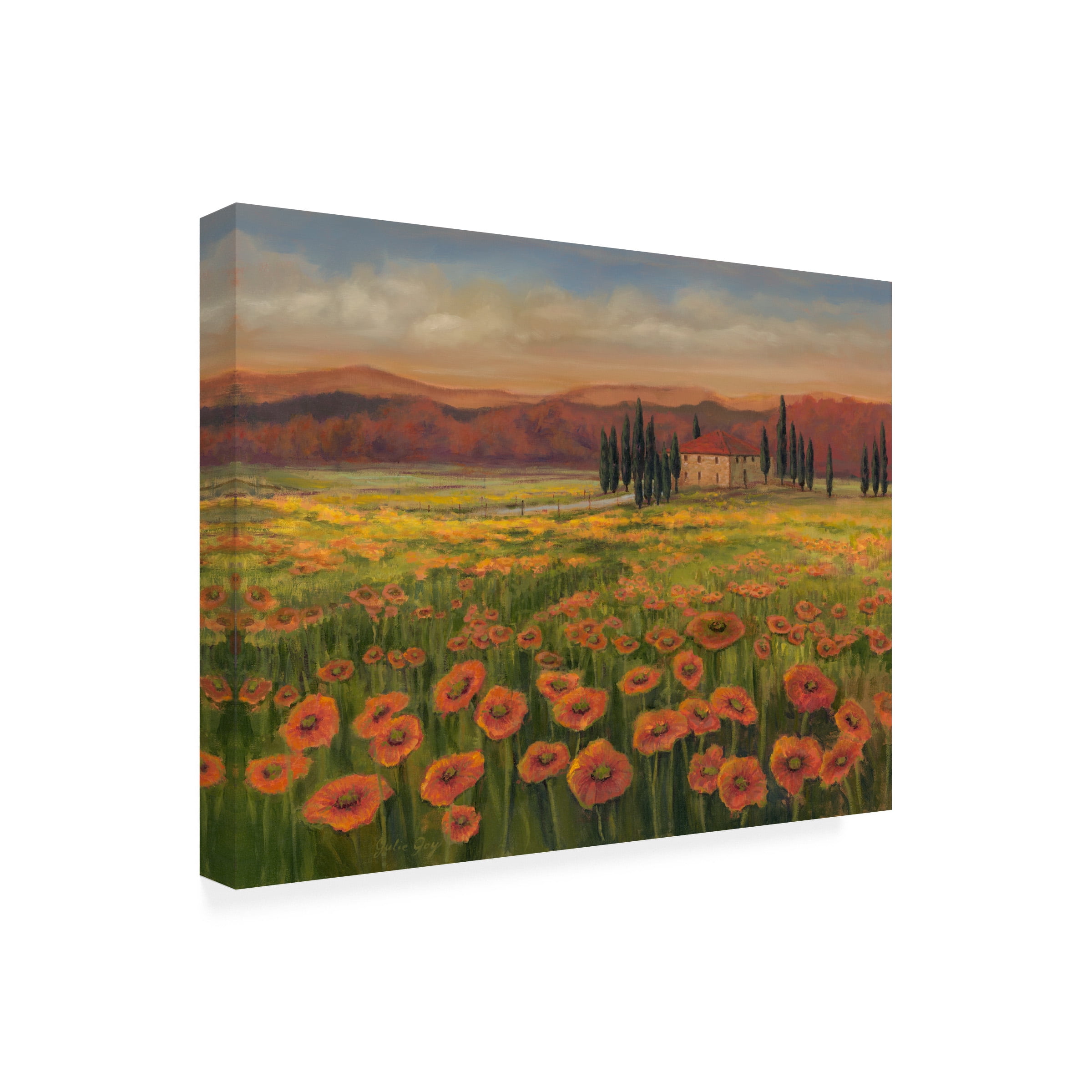 Julie Joy 'Poppy Path To Home I' Outdoor Canvas 35x35