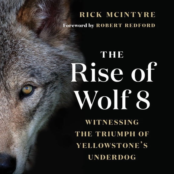 The Alpha Wolves of Yellowstone The Rise of Wolf 8: Witnessing the Triumph of Yellowstone's Underdog, Book 1, (Paperback)