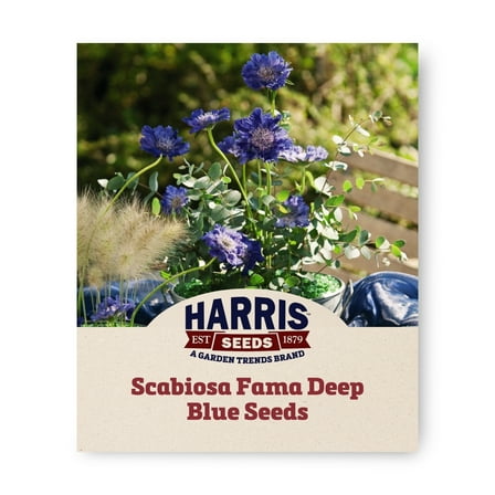 Harris Seeds - Scabiosa Fama Deep Blue Seeds For Planting - 100 Seeds