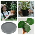 thumbnail image 5 of Grey Plant Stand with Hidden Wheels for Indoor Plants (25.8CM), 5 of 5