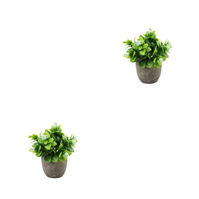 kurtrusly Realistic Artificial Succulent Low Maintenance Elegant Easy To Clean Artificial Money Tree In Pot new blue babysbreath 2Set