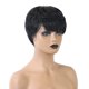 thumbnail image 1 of Peluca diaria recta de corte pixie de 8 "con flequillo pelucas de cabello humano corto en capas Sunnimix Pelucas rectas mullidas cortas, 1 of 8