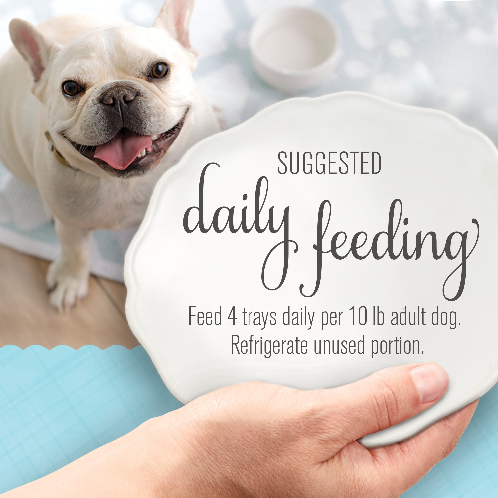 Bella dog food coupons 2019 top