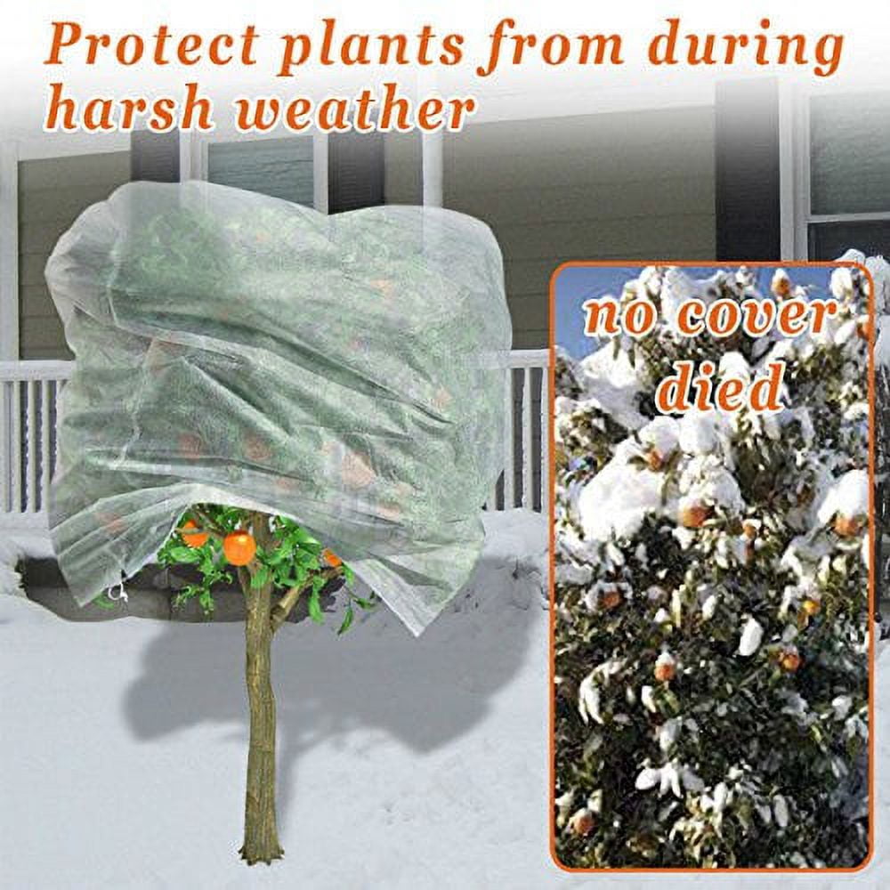 Strong Camel Warm Worth Plant Cover Tree/Shrub Cover Plant Protecting &Frost Protection Bag (72? H x 72? Dia)