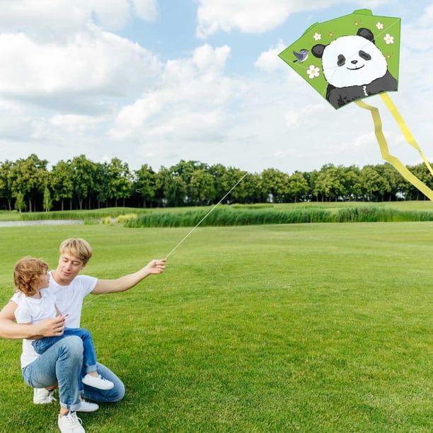 Grand Cerf-volant Aigle Arc-en-ciel – Facile à Piloter Pour Enfants Et Adultes – Parfait Pour La Plage, Le Parc Et Les Sorties En Famille