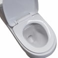 thumbnail image 3 of Sanitario WC Para baño ESATTO one-piece WC-002, 3 of 4