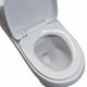 thumbnail image 3 of Sanitario WC Para baño ESATTO one-piece WC-002, 3 of 4