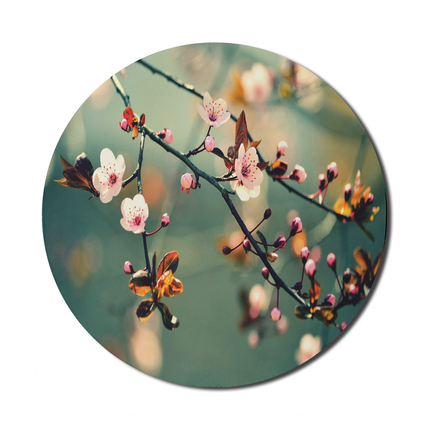 Nature Mouse Pad for Computers, Spring Themed Floral Flowering Japanese Cherry Sakura Photo, Round Non-Slip Thick Rubber Modern Gaming Mousepad, 8" Round, Forest Green Pale Pink, by Ambesonne - image 1 of 2