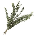 thumbnail image 1 of Eucalyptus Leaves Dried Flower Real Touch Flower Bouquet Wedding Party Decor Supplies, 1 of 9