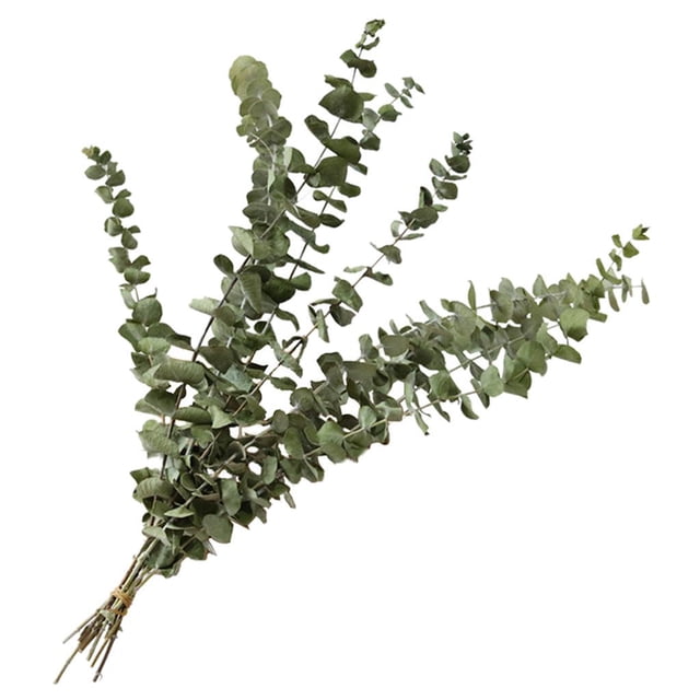 Eucalyptus Leaves Dried Flower Real Touch Flower Bouquet Wedding Party Decor Supplies