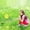 G, variant on Stainless Steel Telescopic Fishing Net Net Net Children's Toy Fishing Net Net Pocket Outdoor Toy Rice Net Mesh Net for Birds Hardware Net Netting Heavy Duty Garden Netting
