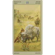 Native American Tarot, (Hardcover)