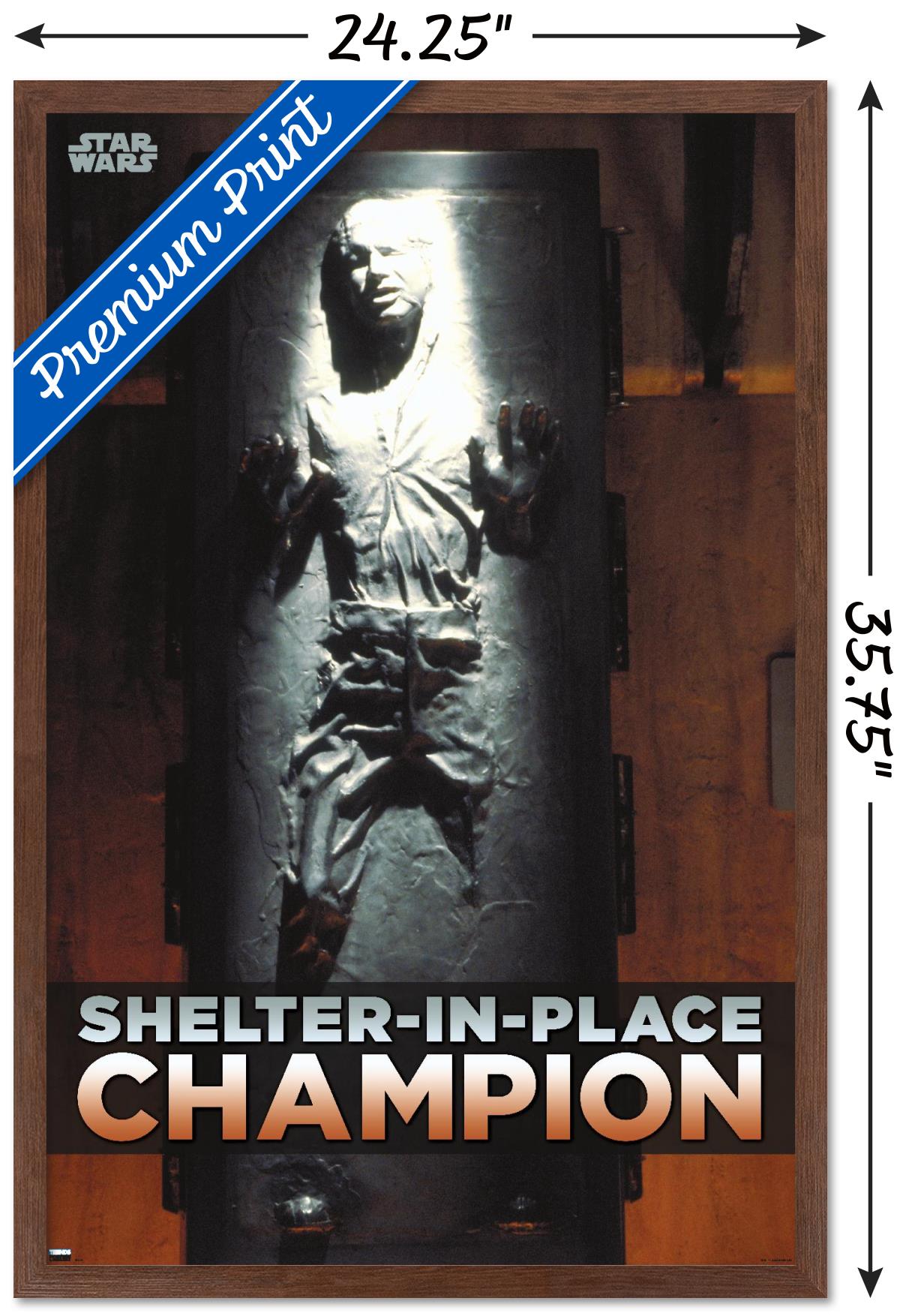 Star Wars: Saga - Han Solo - Shelter In Place Wall Poster, 22.375" x 34", Framed