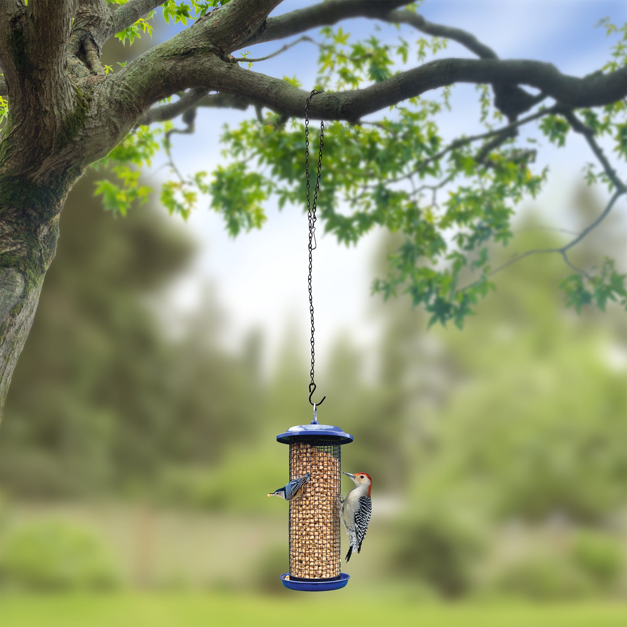 Chaîne décorative en métal Nature's Way de 91 cm (36 pouces) avec crochet pour mangeoires à oiseaux, jardinières et décorations, usage intérieur et extérieur, supporte jusqu'à 7 kg (15 livres), noire