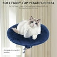 thumbnail image 3 of CL.HPAHKL Modern Small Kittens Condo, 37 In Short Sturdy Cat Tower Scratching Post with Soft Plush Perch Multi-Level Cat Tree House with Funny Toys Pet Play House for Indoor Cats, Navy Blue, 3 of 9