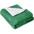 thumbnail image 2 of Kids Ultra-Soft Micromink Sherpa Blanket - Throw, Grass Green, 2 of 6