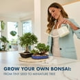 thumbnail image 2 of Garden Republic Bonsai Tree Kit, All-in-One Indoor Grow Kit, 2 of 7