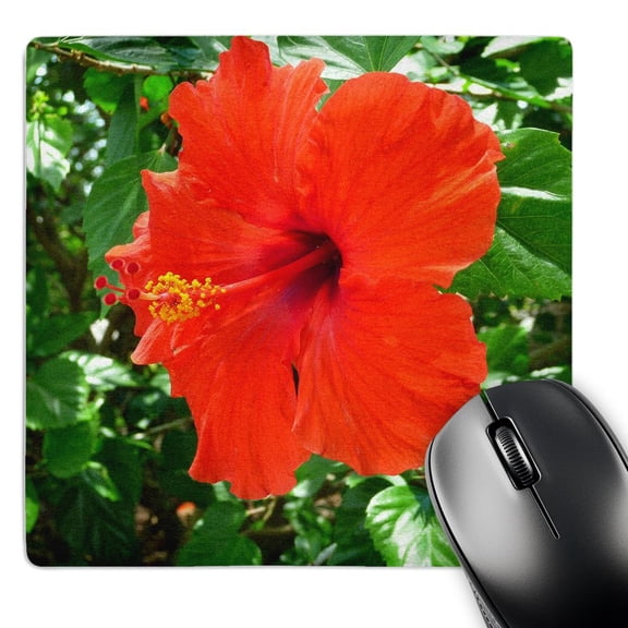 3dRose, Really Red Hibiscus, MousePad