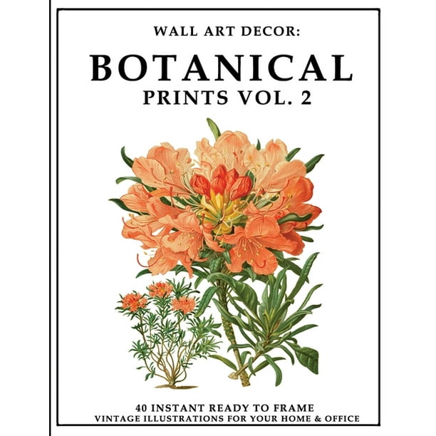 Wall Art Decor Botanical Prints Vol 2 40 Instant Ready To Frame Colorful Ilration For Your Home Office Series 5 Paperback Com - Instant Wall Art Botanical Prints Wall Art Decor Botanical Prints Vol 2 40 Instant Ready To Frame Colorful Ilration For Your Home Office Series 5 Paperback Com - Instant Wall Art Botanical Prints