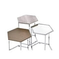thumbnail image 4 of ACME Simno Hexagon Top Nesting Tables in Gray Washed and Chrome Metal, 4 of 7