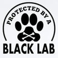 thumbnail image 2 of CafePress - Protected By A Black Lab Body Suit - Baby Light Bodysuit, Size Newborn - 24 Months, 2 of 4